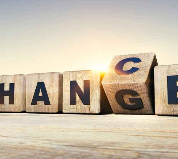Culture Design