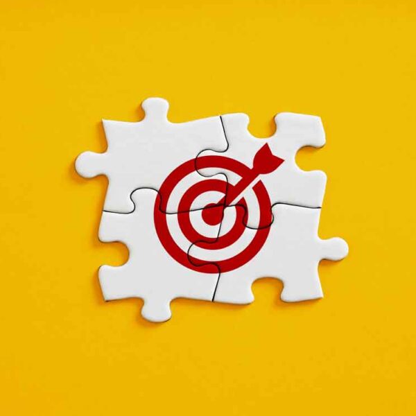 Vertriebsstrategie und Steuerung